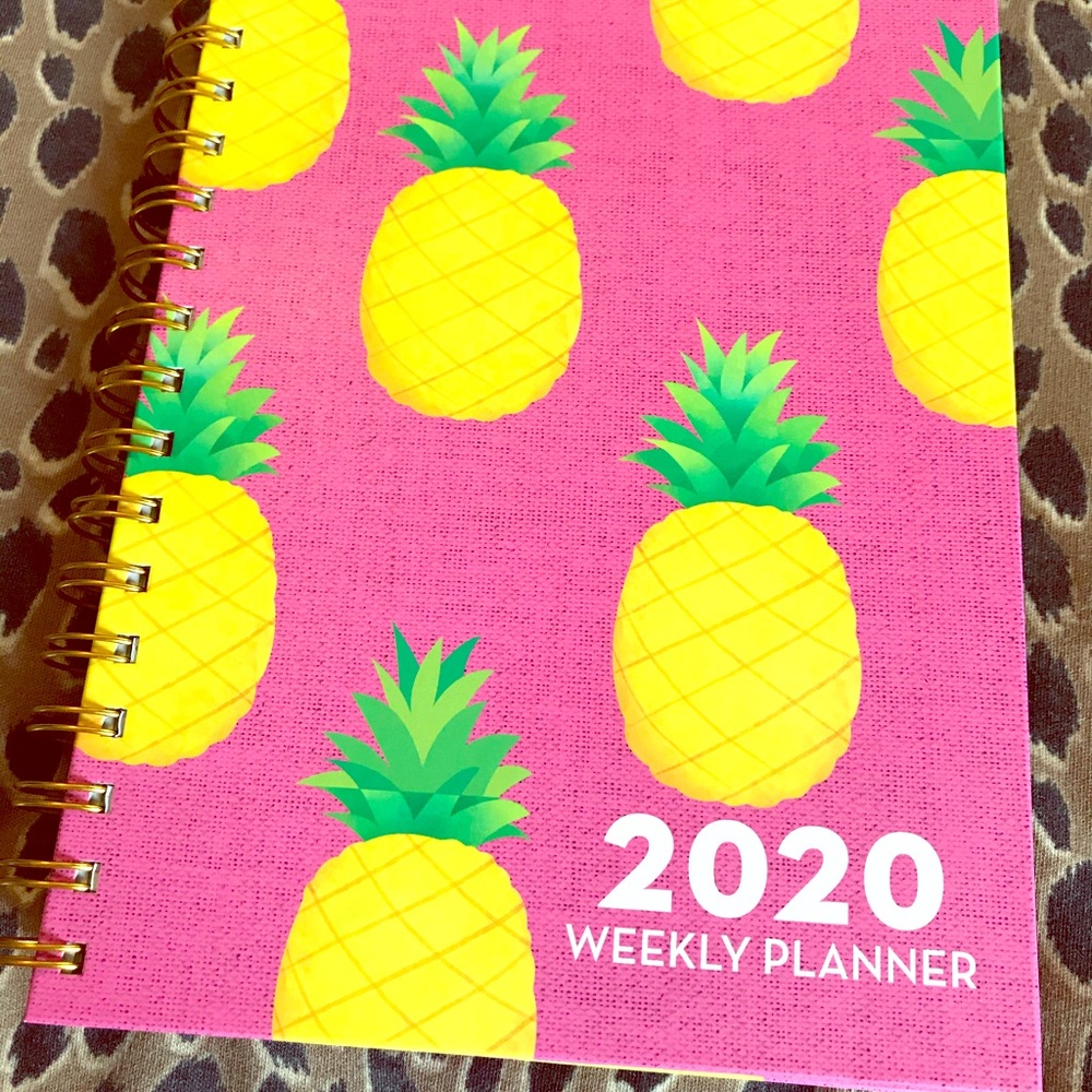 2020 planner 🍍🍍